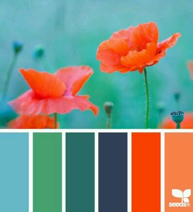 палитра смешивания цвета, рецепты цвета для фимо классик, софт, профешинал